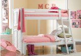 White Shutter HardWood Twin Full Size Bunk Bed